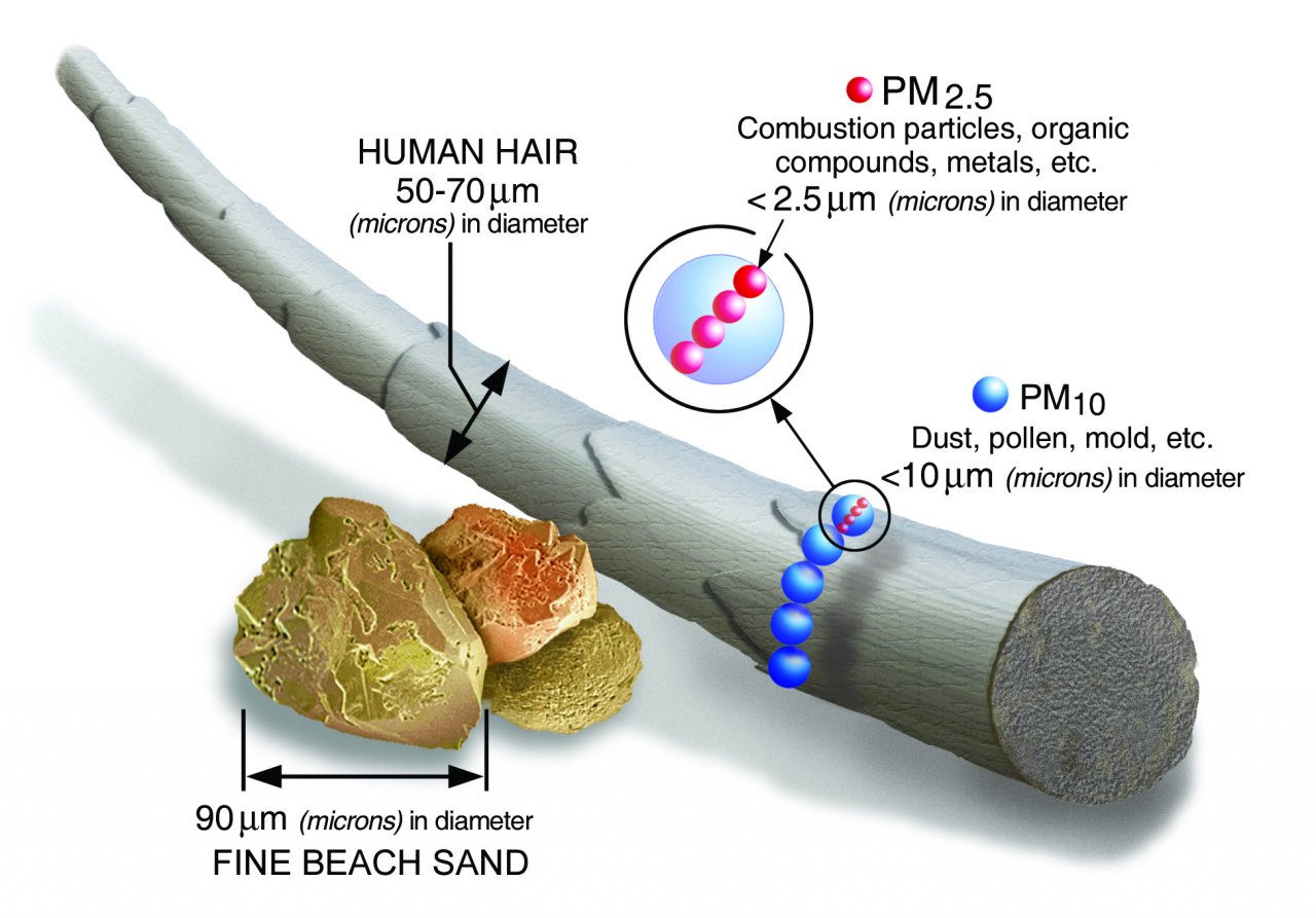 Particulate matter size comparison